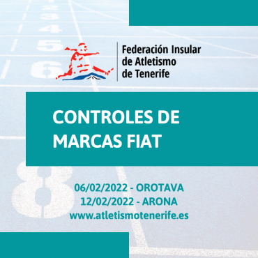 CONTROLES DE MARCAS FIAT