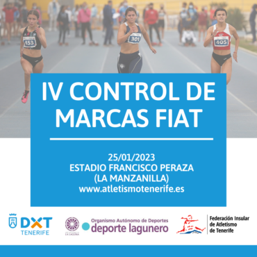 IV CONTROL DE MARCAS FIAT