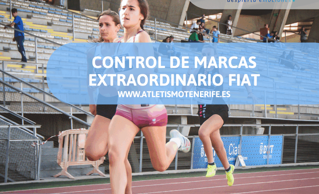 CONTROL DE MARCAS EXTRAORDINARIO FIAT
