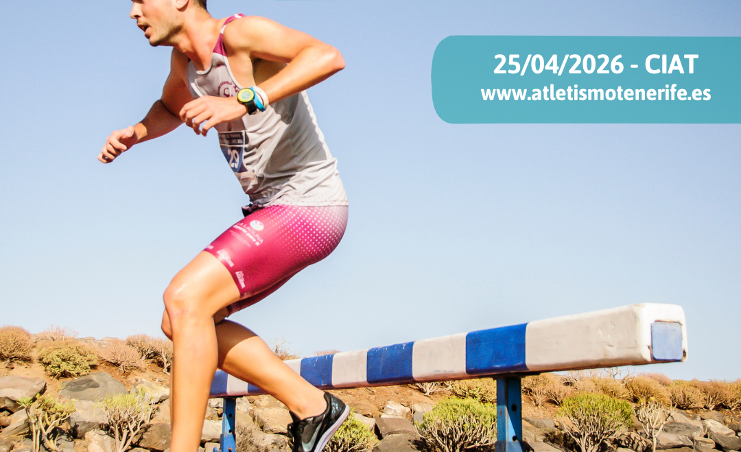 II CONTROL DE MARCAS AL FIAT 2026