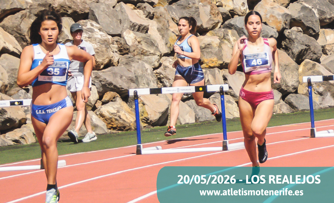 III CONTROL DE MARCAS AL FIAT 2026